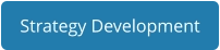 Strategy Development